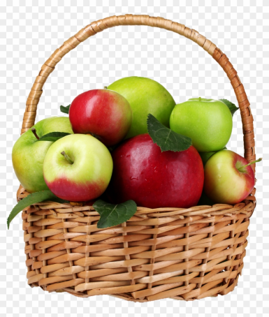 Почему опадают яблоки?