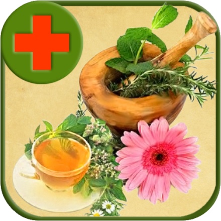 Растения для лечения суставов