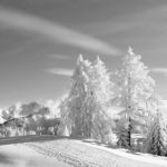 Февральский снег весною пахнет