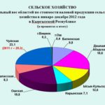 Итоги экономического развития по Чуйской области за 2012 год
