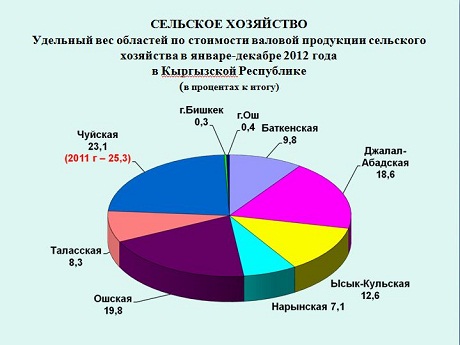 Итоги экономического развития по Чуйской области за 2012 год