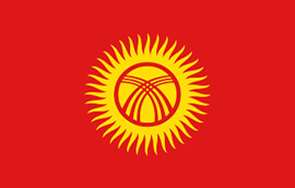 Чиновников Кыргызстана обязали выучить госязык