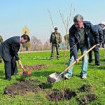 Каждой улице – президентское дерево!