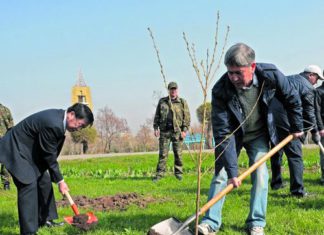 Каждой улице – президентское дерево!