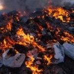 СЭИ напоминает, что выбрасывать и сжигать мусор, листья в неустановленных местах запрещено