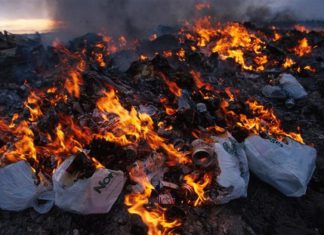 СЭИ напоминает, что выбрасывать и сжигать мусор, листья в неустановленных местах запрещено