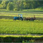 День поля даст хороший урожай