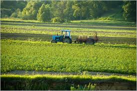 День поля даст хороший урожай