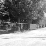 Чума, или Как мы докатились до такого?