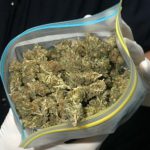 В Иссык-Кульской области в автомобиле депутата местного кенеша нашли 1 кг 80 гр гашиша