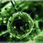 Минзрав: "Бубонная чума для окружающих угроз особо не создаст»