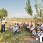 Как получить хороший урожай при нулевом земледелии?