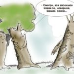 Запили досуха арчу