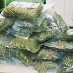 «Смотрящий» по городу Караколу задержан с 3,5 граммами гашиша