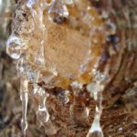 Если пошла смола…