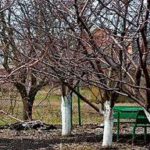 Чтобы зима была в радость