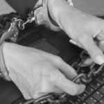 Сами защитим свободу слова?