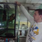 Золотая рыбка – хороша, а «драконы» – лучше!(фото)