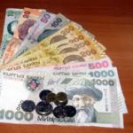 В проекте «Финансирование сельского хозяйства» участвуют 5 коммерческих банков и 1 финансовая компания