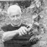 Яблоневый рай Бориса Коновалова