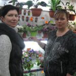 Они цветут, сердца обогревая, как маленькие искорки костра