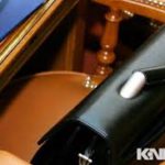 З. Асанкожоева назначена полпредом КР в комиссии Экономического совета СНГ