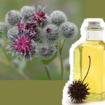 Лопух для женщин