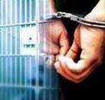 Мошенник-чиновник