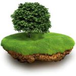 Ответственность за законностью выделения земельных участков теперь будут нести районные администрациии Бишкека