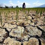 Кыргызстан спасает земледельцев Казахстана от засухи