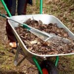 Готовим сад и огород к зиме