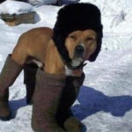 Холода не беда: как перестать мерзнуть?