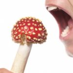 Советы медиков, как пережить новогодние праздники