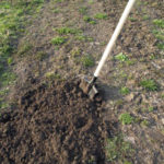 Шпаргалка для дачников: перечень обязательных весенних работ