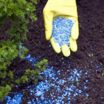 Главные принципы внесения удобрений