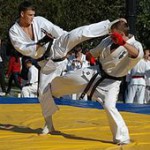 На Иссык-Куле разыграют Кубок по карате-до WKF