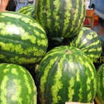 Двое мужчин — кыргыз и дунганин — не поделили место для торговли арбузами