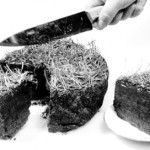 За полгода в Чуйской области возбудили более 70 дел по нарушениям земельного законодательства