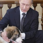 Путин подарит Даше из Балыкчы щенка ньюфаундленда