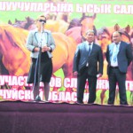 В заоблачной долине был праздник