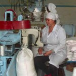 Сахарная отрасль Кыргызстана: возрождение возможно