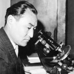 След, оставленный на земле