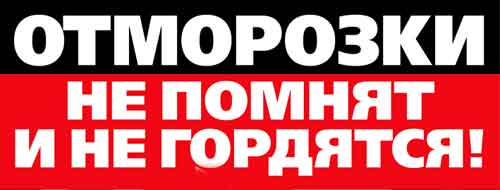 Нас – миллионы, беспамятных вероник долиных – единицы