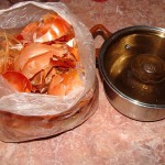 БОРЬБА С ПРОВОЛОЧНИКОМ