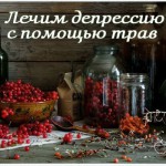 Лечим депрессию с помощью трав