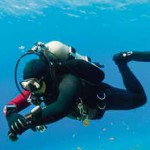 Редкая профессия – выходить сухим из воды