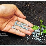 ОТМЕРЯЕМ УДОБРЕНИЯ «НА ГЛАЗОК»