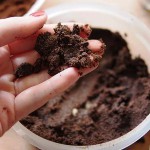 Рецепты домашних скрабов для тела