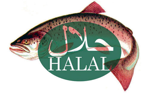 Депутаты переживают: рыбка ест халалный корм или нет?