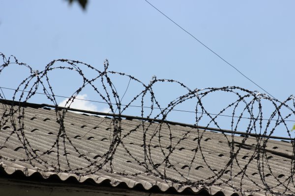 85-летнего мужчину, расчленившего дома супругу, отправили на лечение в психбольницу